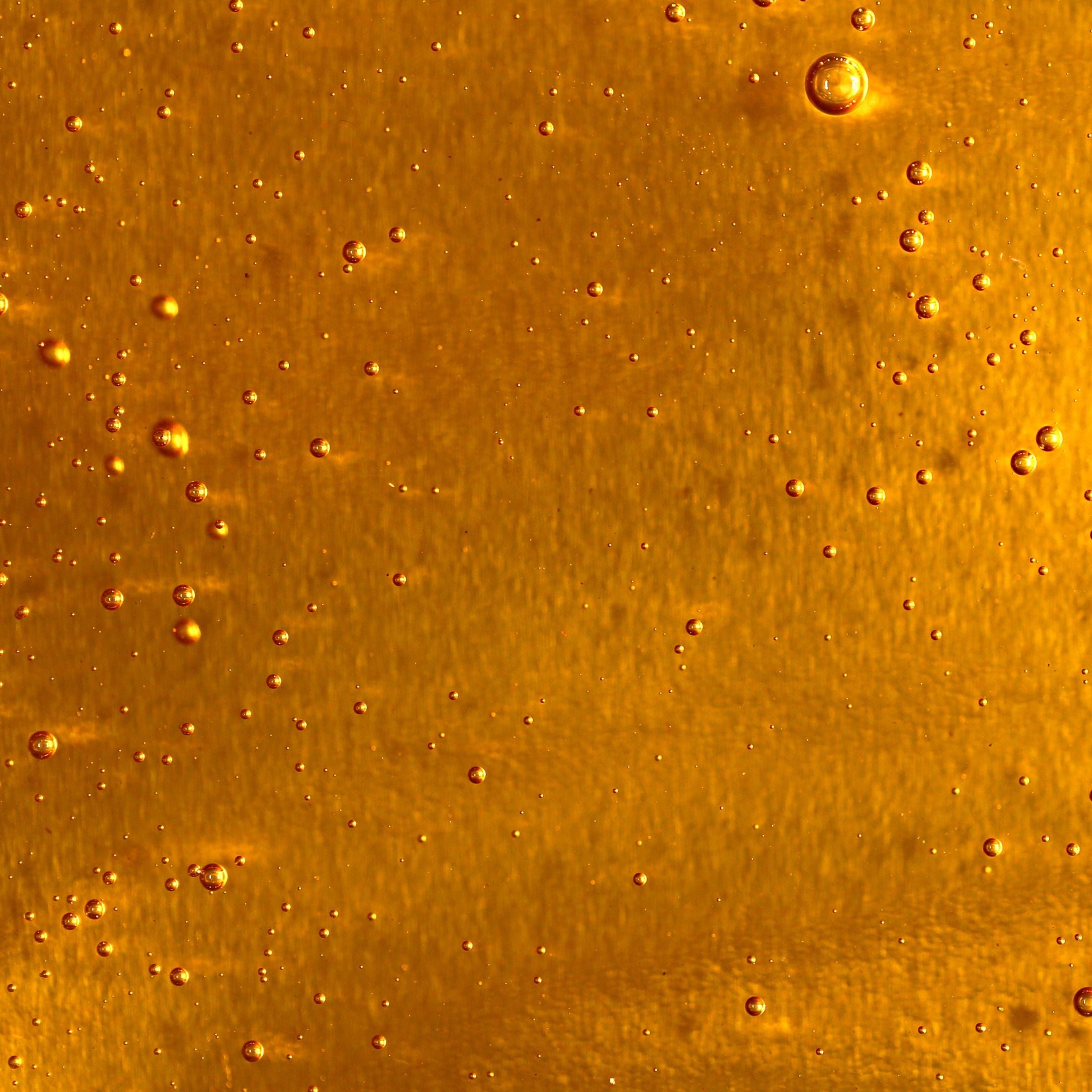 Organic Raw Honey