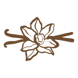 Organic Vanilla Bean